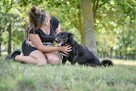 Łapek- niewielki czarny piesek do adopcji - 6