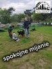 Szkolenie Psów Gdańsk Gang Urwisów - 8