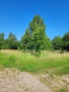 Działka z gotowymi WZ pod Twój dom - 2