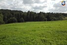 Działka rekreacyjna/rolna 81a (8100m2) Glinik Górny - 2