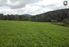 Działka rekreacyjna/rolna 81a (8100m2) Glinik Górny - 5