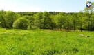 Działka rolno/rekreacyjna 61a (6100m2) Żohatyn - 5