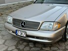 Mercedes SL 500 2000 SL500 pakiet AMG LIFT zarejestrowny LUXURYCLASSIC - 10