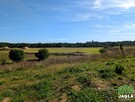 Działka rolna Koronowo Przyrzecze - 1