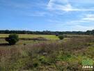 Działka rolna Koronowo Przyrzecze - 3