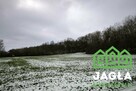 Działka budowlana Gruczno gm. Świecie - 6