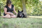 Łapek- niewielki czarny piesek do adopcji - 3