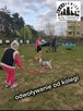 Szkolenie Psów Gdańsk Gang Urwisów - 5