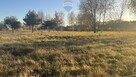 Działka budowlana nr 59/20 Józefów gm. Pniewy - 4