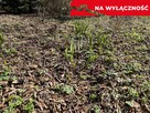 Działka 0,21 ha w Kaliszanach Kolonii gm. Józefów. - 16