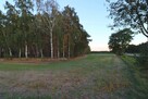 Działka inwestycyjna Kania gm. Ostrowite, - 4