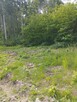 Działka leśna z miejscem na mały domek - 2