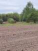 Sprzedam działke budowlana/rolną - 2