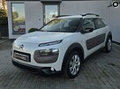 Citroen C4 Cactus - 1