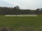 Działka rolna Stara Rawa gm. Nowy Kawęczyn - 2