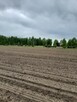 Sprzedam działke budowlana/rolną - 5