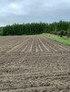 Sprzedam działke budowlana/rolną - 8