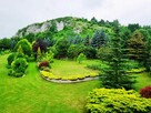 Oferta - 4