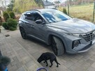 Hyundai Tucson executive , n line , 48 v - 3