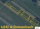 Działka rolno-budowlana Domanice - 2