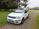 Fiat Panda - 1