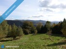 Brenna 2,53 ha z prawem zabudowy inwestycyjna blisko wyciągu orzcykowego - 3