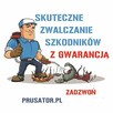 PRUSATOR Skuteczna Dezynsekcja Warszawa Dezynfekcja Pluskwa - 4