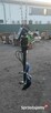 wiertnica wiertnice świder hydrauliczny koparka 1,5-3 ton - 4