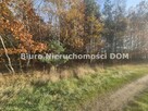 Działka Łochynia gm. Mykanów - 6