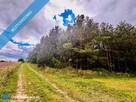 Drygały – piękna działka 1,4 ha w otoczeniu lasów i natury - 5