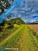Drygały – piękna działka 1,4 ha w otoczeniu lasów i natury - 8