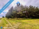 Drygały – piękna działka 1,4 ha w otoczeniu lasów i natury - 9