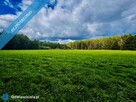 Wyjątkowa działka 2,42 ha wśród zieleni. Cisza, prywatność, natura - 1
