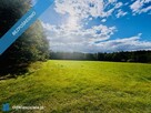 Wyjątkowa działka 2,42 ha wśród zieleni. Cisza, prywatność, natura - 3