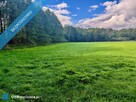 Wyjątkowa działka 2,42 ha wśród zieleni. Cisza, prywatność, natura - 4