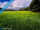 Wyjątkowa działka 2,42 ha wśród zieleni. Cisza, prywatność, natura - 10