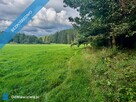 Wyjątkowa działka 2,42 ha wśród zieleni. Cisza, prywatność, natura - 14