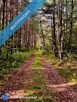 Wyjątkowa działka 2,42 ha wśród zieleni. Cisza, prywatność, natura - 15