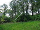 ⭐⭐⭐⭐⭐ Dwie działki 1900 + 3600m2 ⭐⭐⭐⭐⭐ - 4