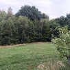Sobolów, Wola Nieszkowska, działka 0,35ha - 5