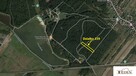 Działka leśna Łuków Zimna Woda - 1