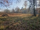 Działka przemysłowa Duchnów gm. Wiązowna, Leśny Zakątek - 12