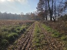 Działka przemysłowa Duchnów gm. Wiązowna, Leśny Zakątek - 13