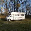 Kamper 2+2 Adria Ducato 2.3 jtd klima, scandynavian edition - 4