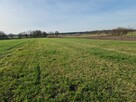 Działki rolne na sprzedaż - Biskupice, gm. Grodziec - 3