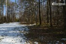 Działka budowlana Łebunia gm. Cewice - 8
