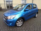 Suzuki Celerio 1.0Benz Salon Polska 1-Właściciel Od Nowości 100%Bezwypadkowy Jak Nowy - 2