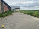 Lokal użytkowy Rossosz gm. Łęczna - 15
