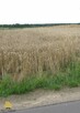 Działka budowlana Siostrzytów gm. Trawniki - 3
