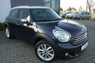 Mini Countryman - 15